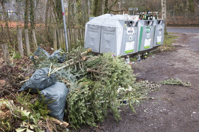 Ulrich Simons - Tannenb&auml;ume